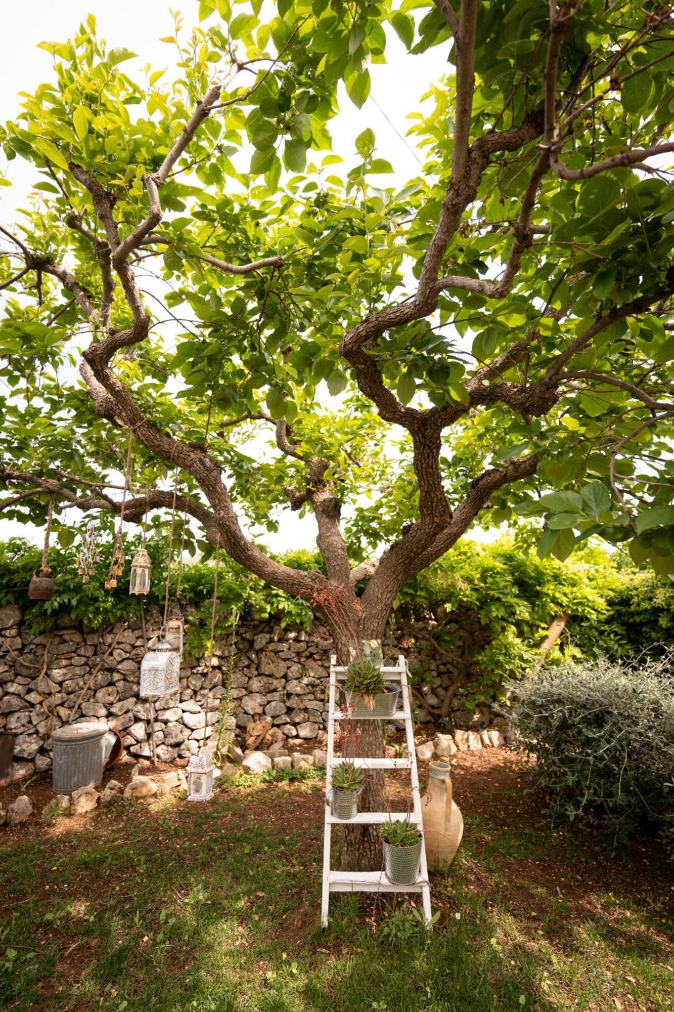 Villa Il Trullo Volza Locorotondo Exterior foto